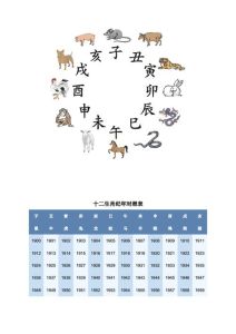 生肖特质与事业：鼠牛龙猴时辰旺运解析