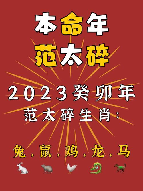 生肖职场攻略：揭秘鼠兔龙马四大生肖特点与提升之道