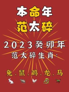 生肖职场攻略：揭秘鼠兔龙马四大生肖特点与提升之道
