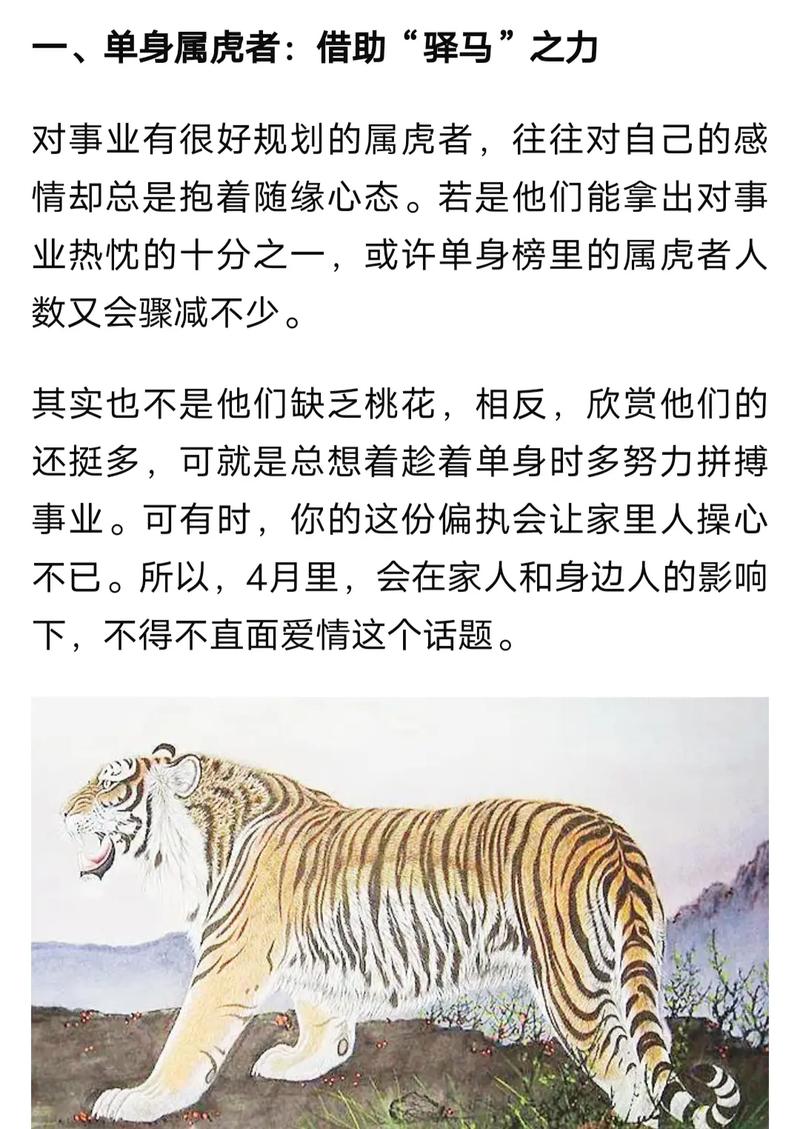 生肖虎搭配攻略：冲突中求和谐，共创事业与爱情