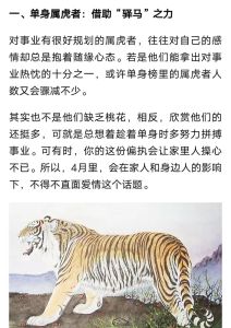 生肖虎搭配攻略：冲突中求和谐，共创事业与爱情