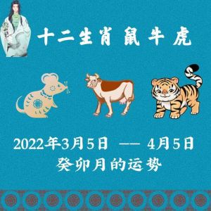 11月生肖运势大揭秘：牛稳中向好，鼠遇爱情，龙有转机！