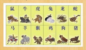 生肖星座桃花财运指南：鼠蛇天秤双鱼双丰收