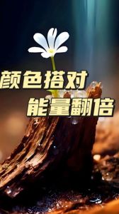 11月属鼠牛虎运势提升指南