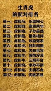 虎年生肖运势：兔马羊猪双丰收，幸福事业双赢