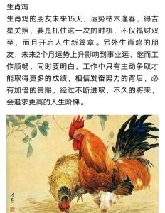四生肖未来飞跃：事业家庭双丰收，幸福在握！