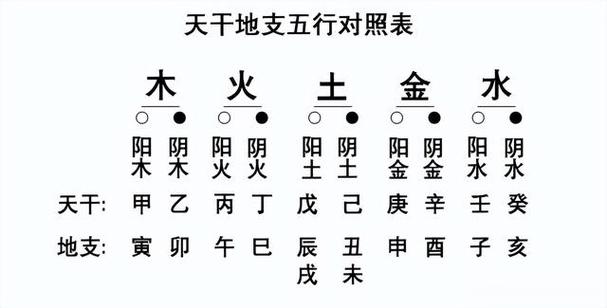 八字命理揭秘：星宿影响与人生运势预测