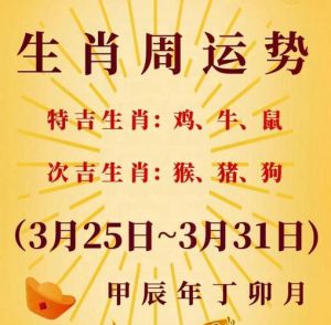 2024年11月13日生肖运势详解及幸运建议