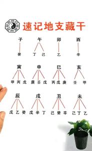 天干地支影响命运：家庭运势揭秘