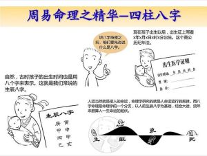 揭秘命运与人生哲学：作者独到见解与算命术实践