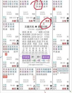紫微斗数命宫主星特质解析：识人慧眼与人才伯乐