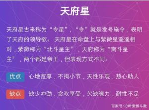 领导型个性解析：紫微天府武曲天相，企业成功关键