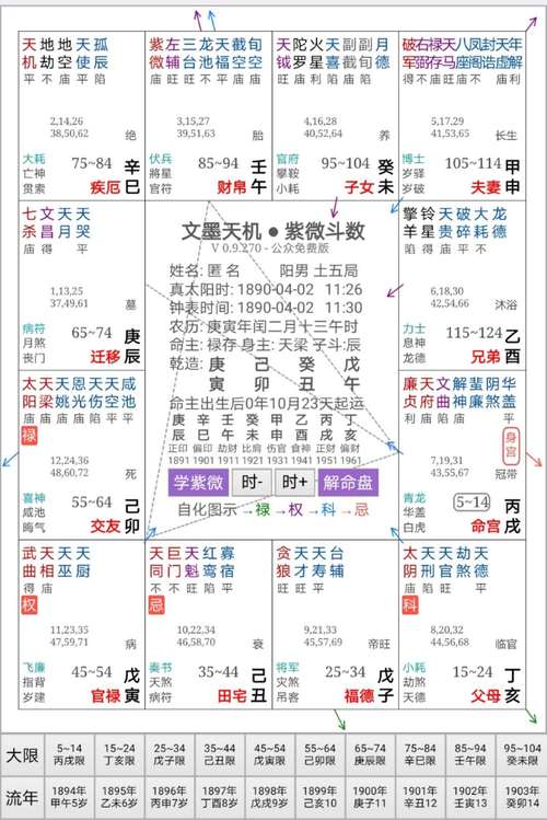 紫微星盘揭秘：职业倾向与事业宫主星