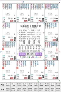 紫微星盘揭秘：职业倾向与事业宫主星