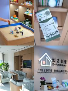 乐达心理：专业心理健康服务平台，助您拥有幸福生活