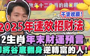 2025生肖翻身年：龙马猴猪事业腾飞，努力创造辉煌