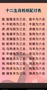 11月14日生肖运势：鼠猴财运不佳，多生肖运势详解