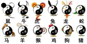 今日运势揭秘：生肖运势起伏，工作财运解析