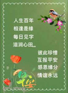 生肖爱情揭秘：牛兔狗深情守候，珍惜未来情谊