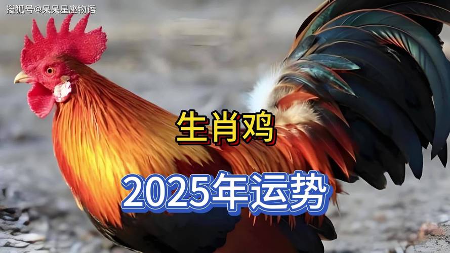 2025年生肖运势：虎马猴鸡四大生肖特点与事业突破