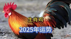 2025年生肖运势：虎马猴鸡四大生肖特点与事业突破