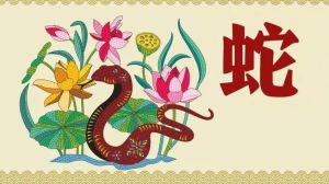 生肖兔马蛇女桃花运：命运与个人努力的交织
