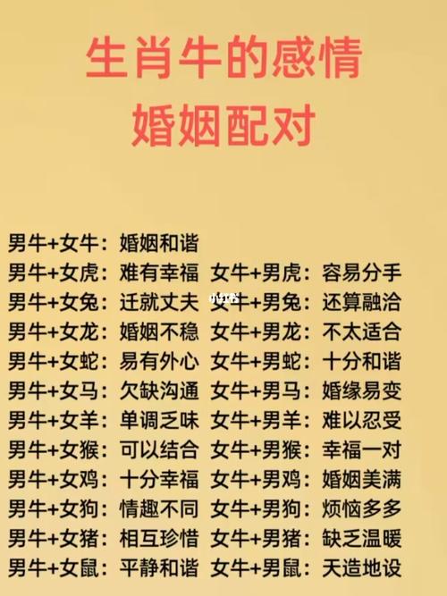 三大生肖男忠诚揭秘：牛狗兔的爱情智慧