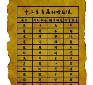 生肖运势：龙猴兔牛人生赢家，财富倍增秘诀！