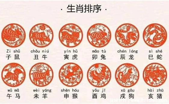 生肖财商揭秘：鼠龙猴财运亨通之道