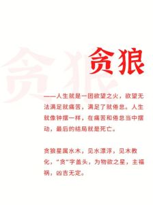 命理误判致婚姻破裂：如何避免贪狼星误导？