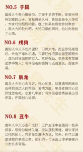 甲辰年乙亥月运势解析：生肖运势大揭秘！