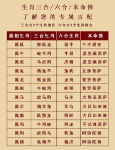 2024龙年生肖运势：鼠蛇猴大爆发，抓住机遇梦圆富贵！