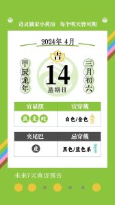 2024年11月14日生肖运势解析与启示