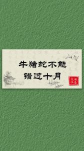 2025生肖运势：龙鸡马兔旺，牛羊鼠狗猴虎猪蛇需加油