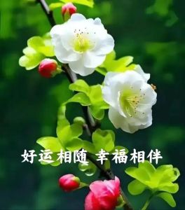 生肖特质揭秘：爱情财运，幸福好运相伴