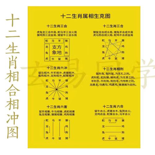 生肖揭秘：鼠牛龙猴多福长寿特质解析