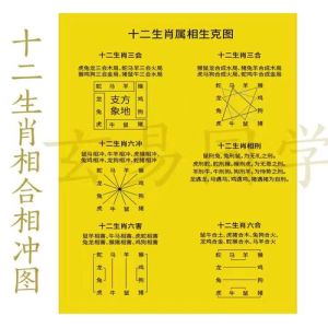 生肖揭秘：鼠牛龙猴多福长寿特质解析