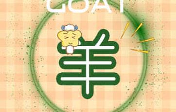 四大生肖：爱情财运，未来发展的独特优势
