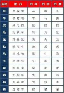 11月生肖运势：龙虎猴羊事业爱情双丰收