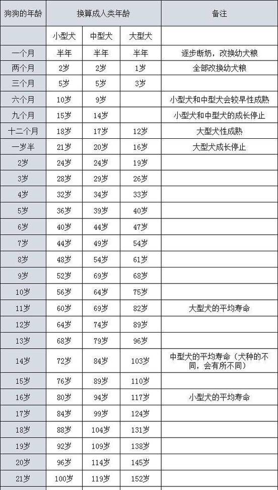 狗年生人性格命运揭秘：出生月份影响大！