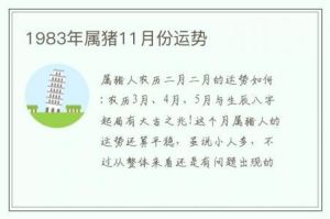属猪人哪些月份出生遇贵人多？命理揭秘