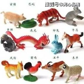 三大生肖女：旺夫又火爆，选伴侣看性格挑战大！