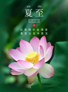 夏至四大星座爱情旺，运势攀升甜蜜满溢