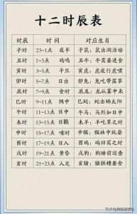 生肖时辰揭秘：性格命运与人生逆袭
