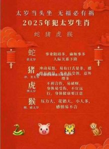生肖揭秘：脾气急躁却可靠的鼠虎龙猴，爱情财运大解析