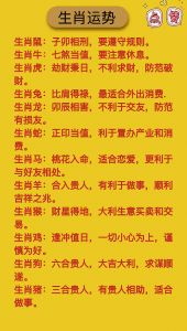 十二生肖今日运势详解：事业财运与爱情解析