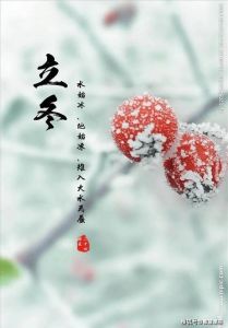 立冬四大星座爱情运势旺，幸福梦想启航