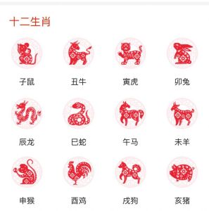 揭秘生肖龙蛇马鸡：职场佼佼者的运势密码