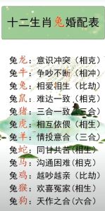 12月生肖运势：鼠猪兔狗桃花旺，事业爱情双丰收！
