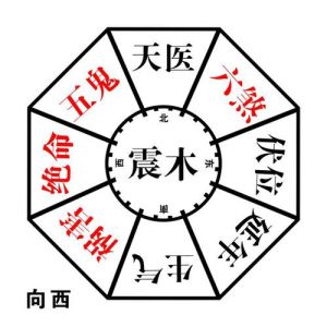 风水视角下的遗传学：揭秘家族命运与健康